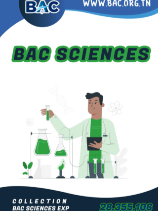 Bac Sciences Expérimentales