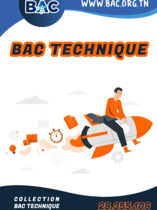 BAC Sciences Techniques
