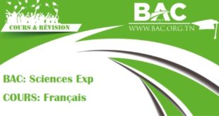 le discours rapport direct et indirect bac scientifiques mme boujila sfax - Resume De Science Islamique Bac le discours rapport direct et indirect bac scientifiques mme boujila sfax - Resume De Science Islamique Bac